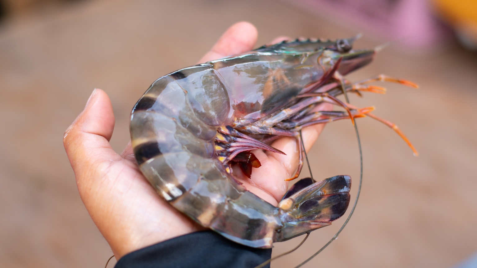 Nutritional Value of Ingredients in Shrimp Bisque Pasta