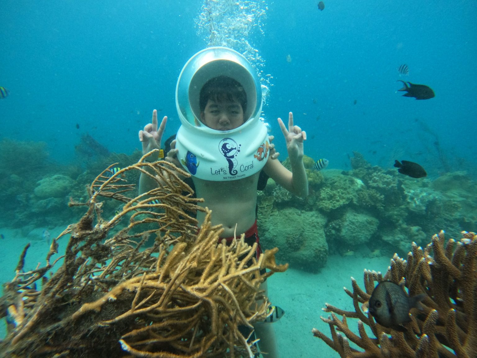 Explore islands, go parasailing, and snorkel to view coral reefs