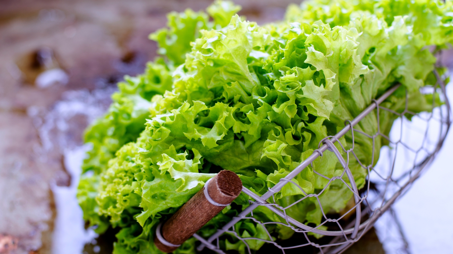 Fresh Garden Greens