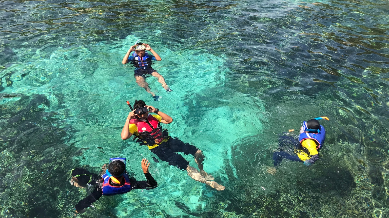 Scuba Diving and Coral Watching in Nha Trang